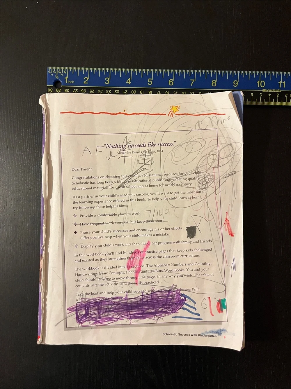 Scholastic Success With Kindergarten Workbook Purple Paperback 📚
